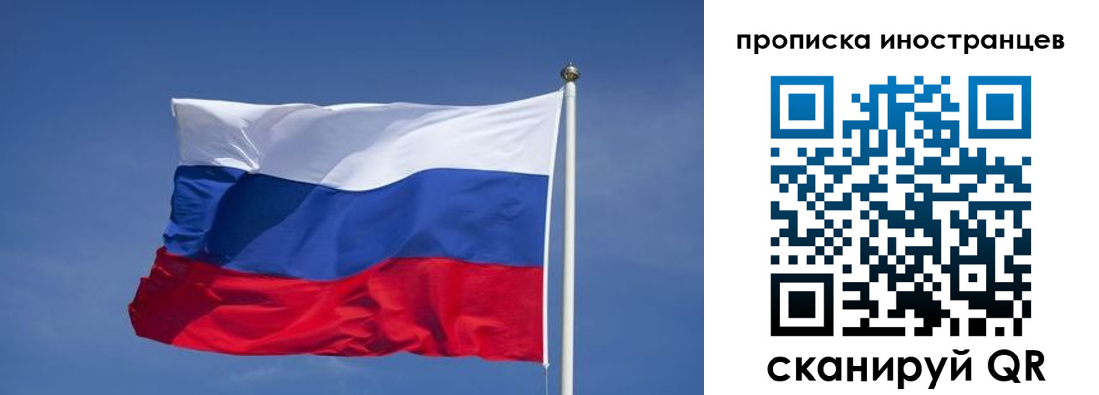 найти адрес прописки в Светлогорске